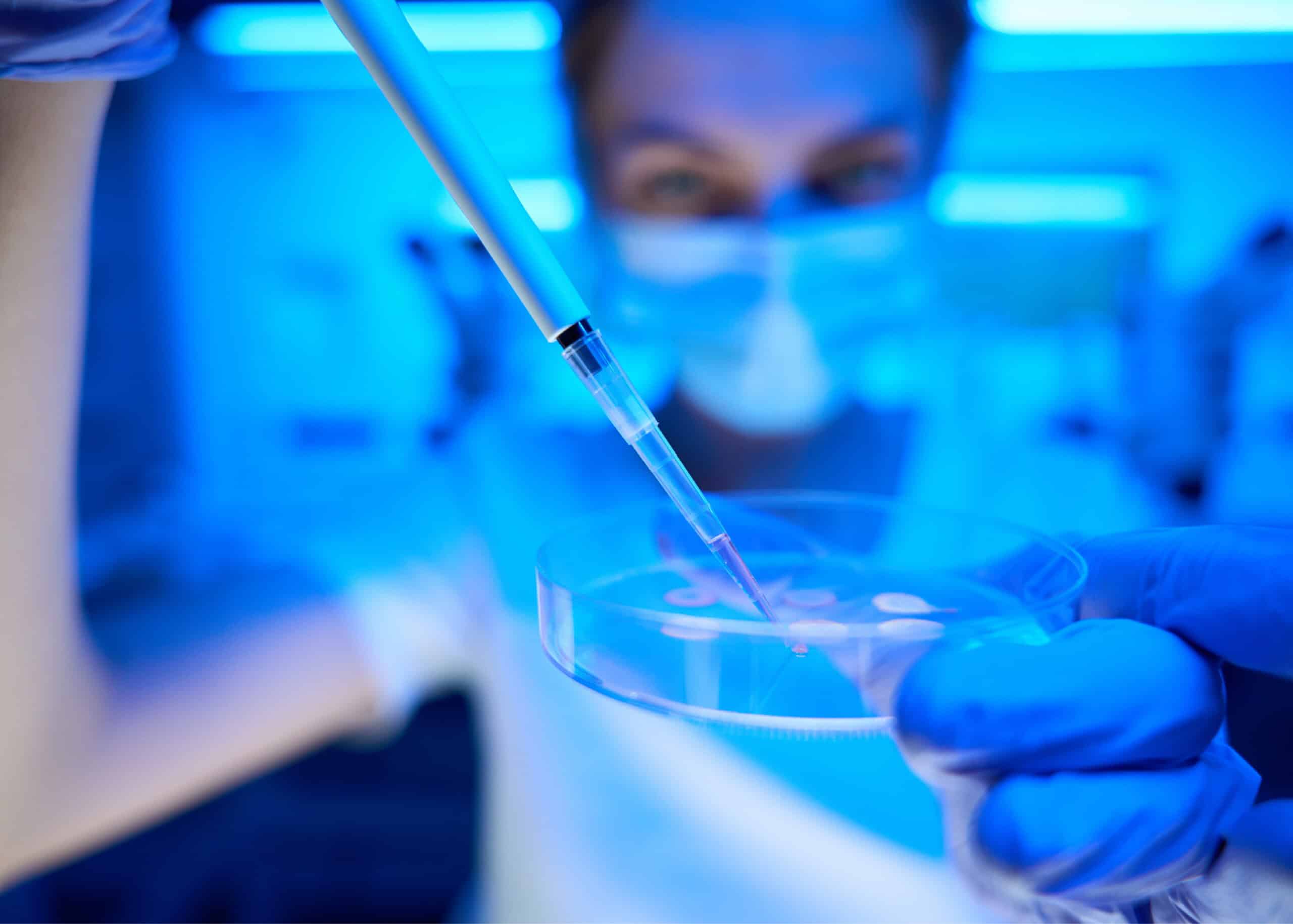 Want to freeze eggs? Explore options