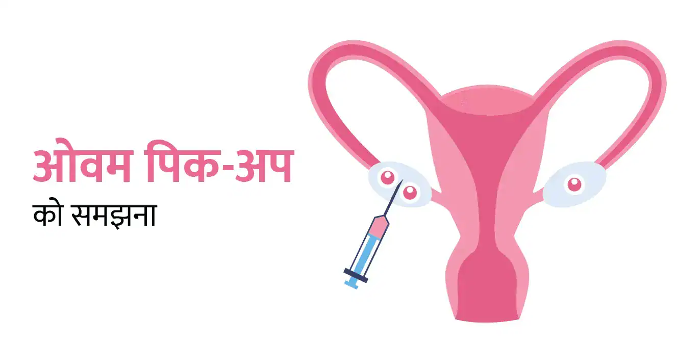 ओवम पिक-अप को समझना