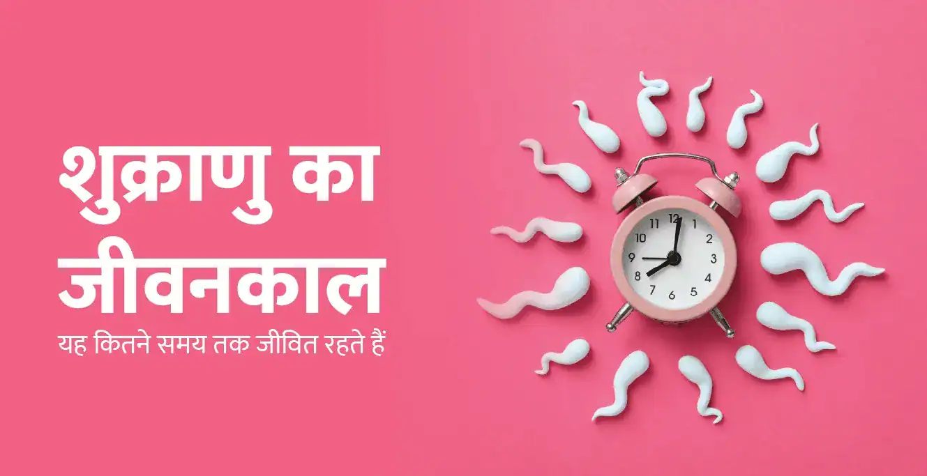 Lifespan of Sperm: शुक्राणु का जीवनकाल – यह कितने समय तक जीवित रहते हैं?