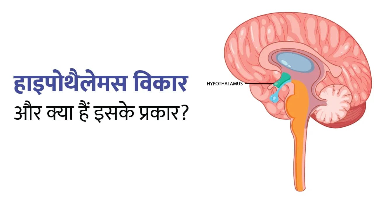 हाइपोथैलेमस (Hypothalamus): लक्षण, कारण, उपचार और जटिलताएं