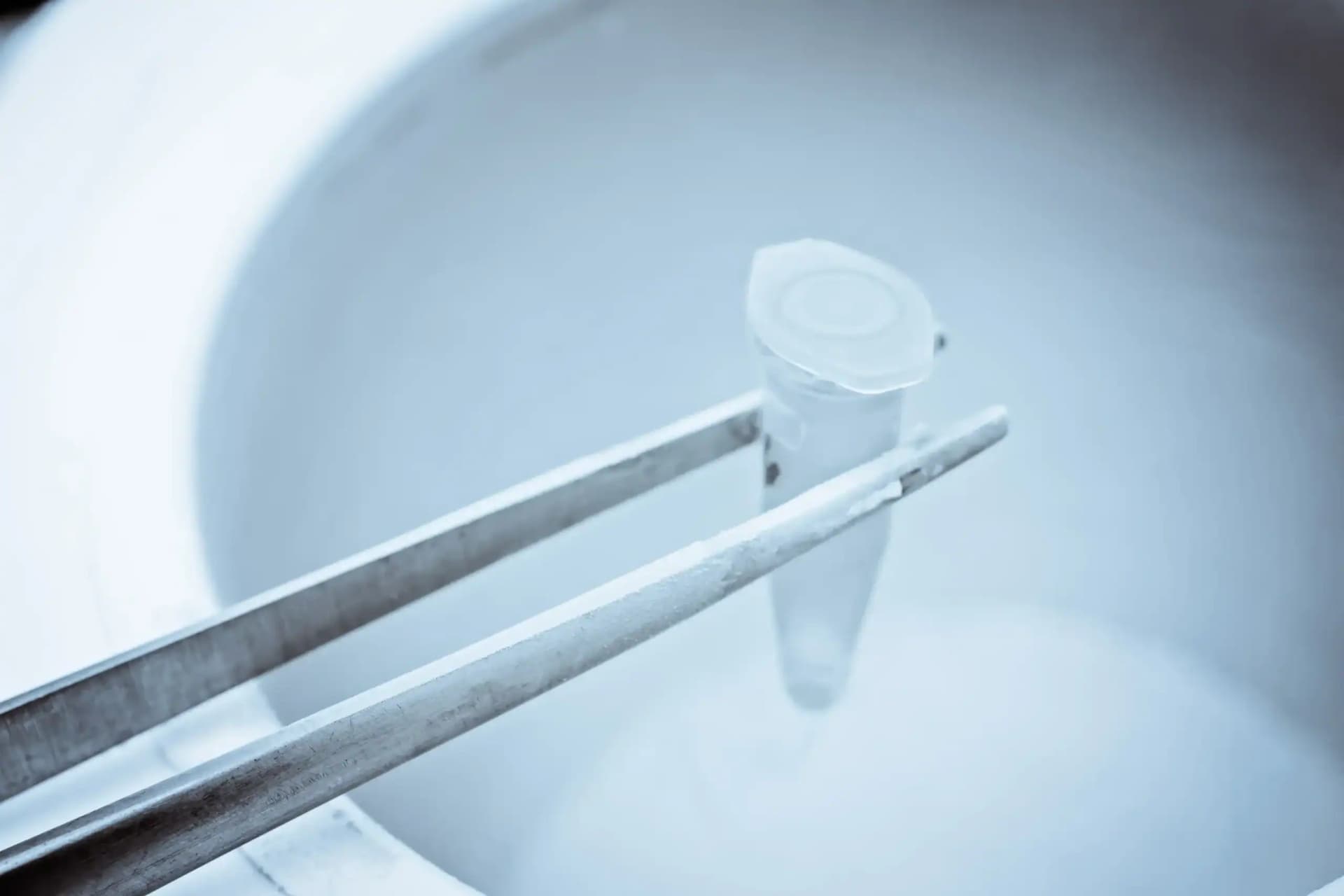 Egg Freezing1