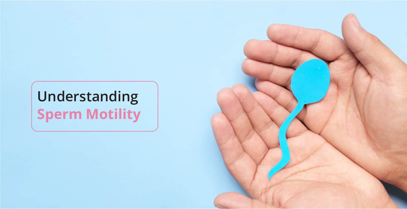 The Role of Sperm Motility in Male Fertility