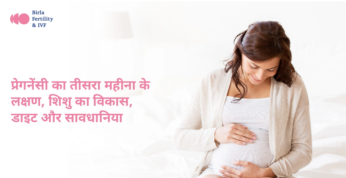 प्रेगनेंसी का तीसरा महीना(3 Month Pregnancy in Hindi): लक्षण, शिशु विकास, आहार और ज़रूरी सावधानियां