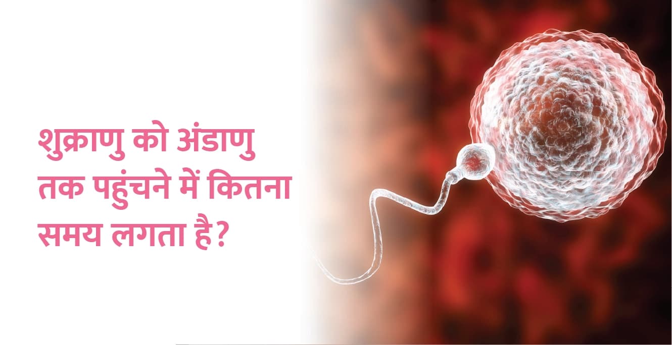शुक्राणु को अंडे तक पहुँचने में कितना समय लगता है?