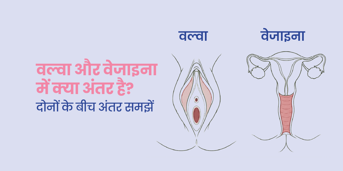 वल्वा और वेजाइना में क्या फर्क होता है?