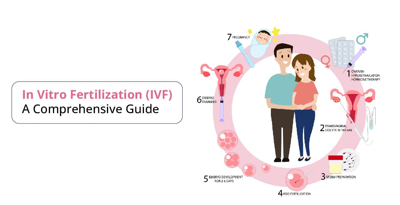 IVF Treatment: Step-by-Step Process, Cost & Success Rate